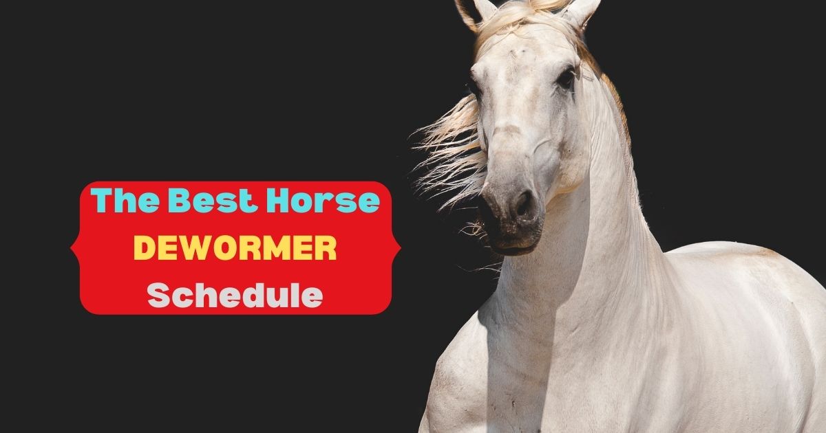 50 Printable Horse Worming Schedule 12