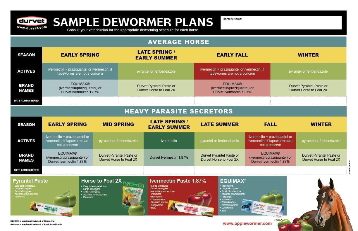 50 Printable Horse Worming Schedule 25
