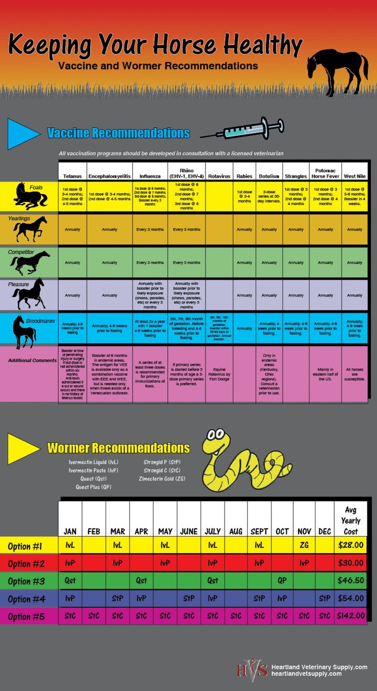 50 Printable Horse Worming Schedule 38