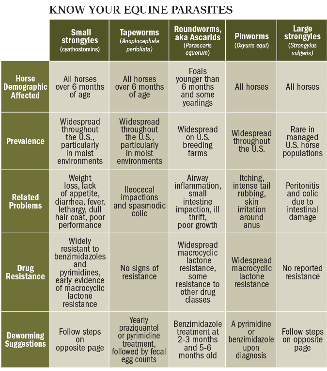 50 Printable Horse Worming Schedule 70