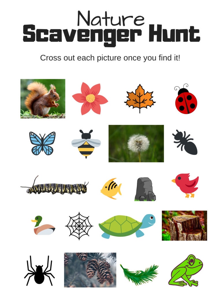 80 Free Nature Scavenger Hunt Printable 14