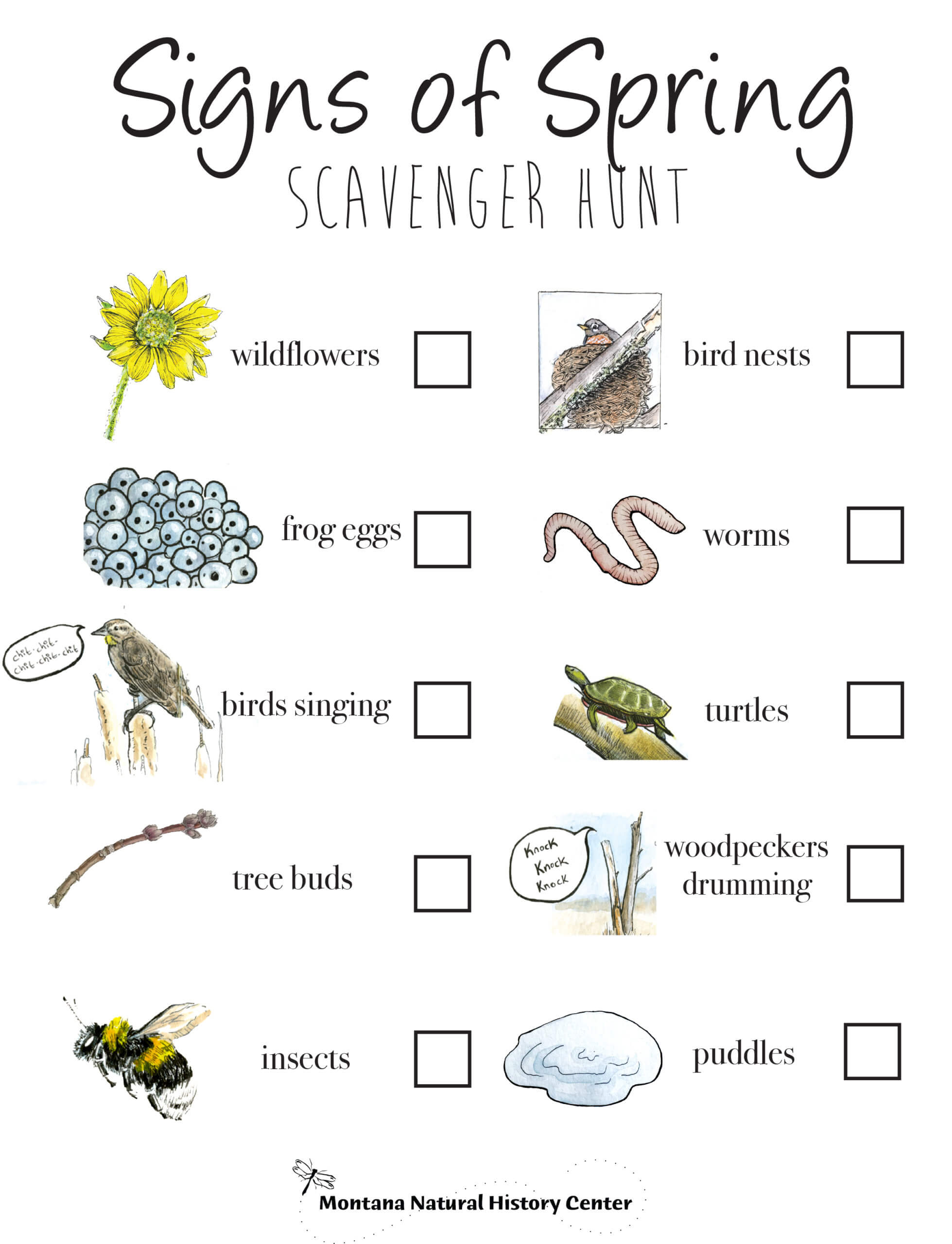 80 Free Nature Scavenger Hunt Printable 21