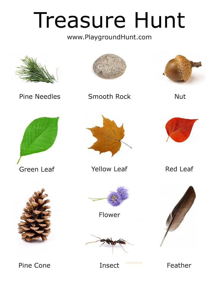 80 Free Nature Scavenger Hunt Printable 24