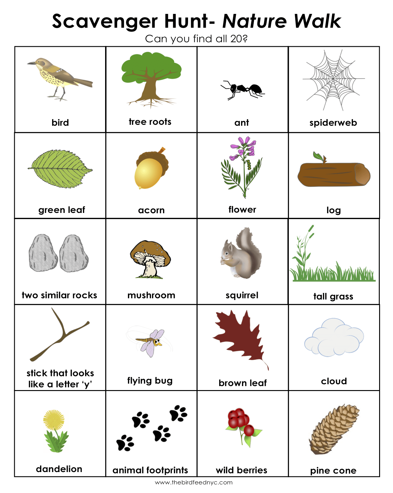 80 Free Nature Scavenger Hunt Printable 28
