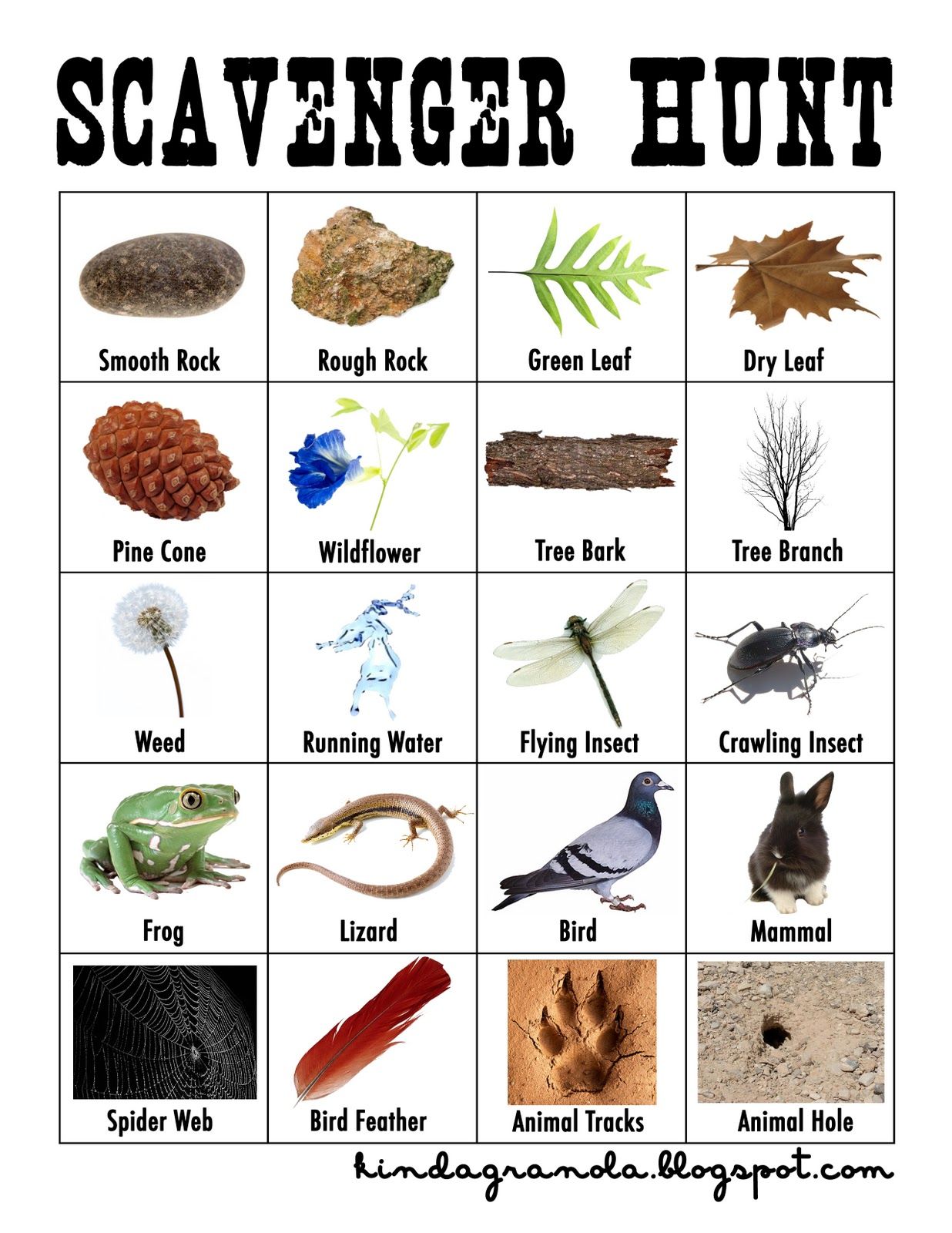 80 Free Nature Scavenger Hunt Printable 30