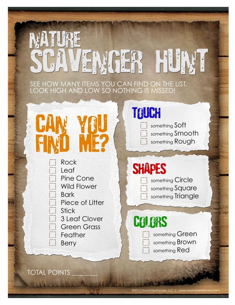 80 Free Nature Scavenger Hunt Printable 34