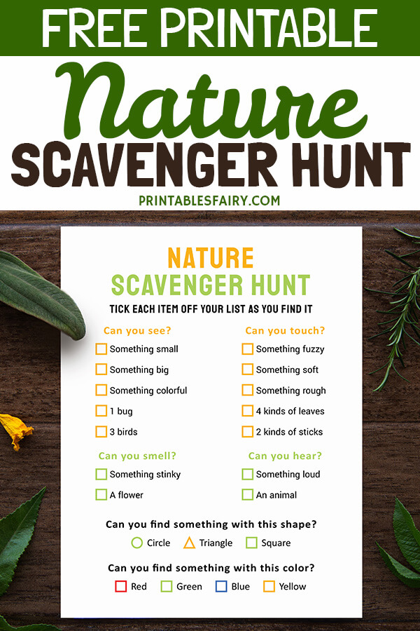 80 Free Nature Scavenger Hunt Printable 47