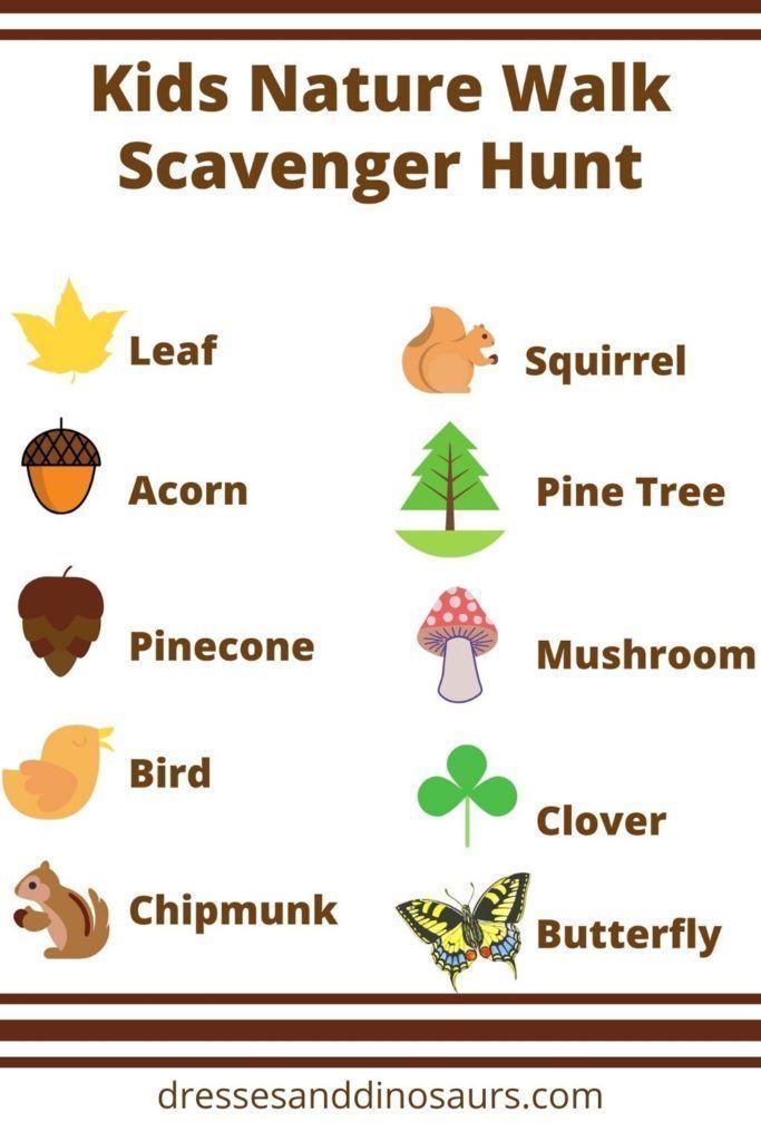 80 Free Nature Scavenger Hunt Printable 63