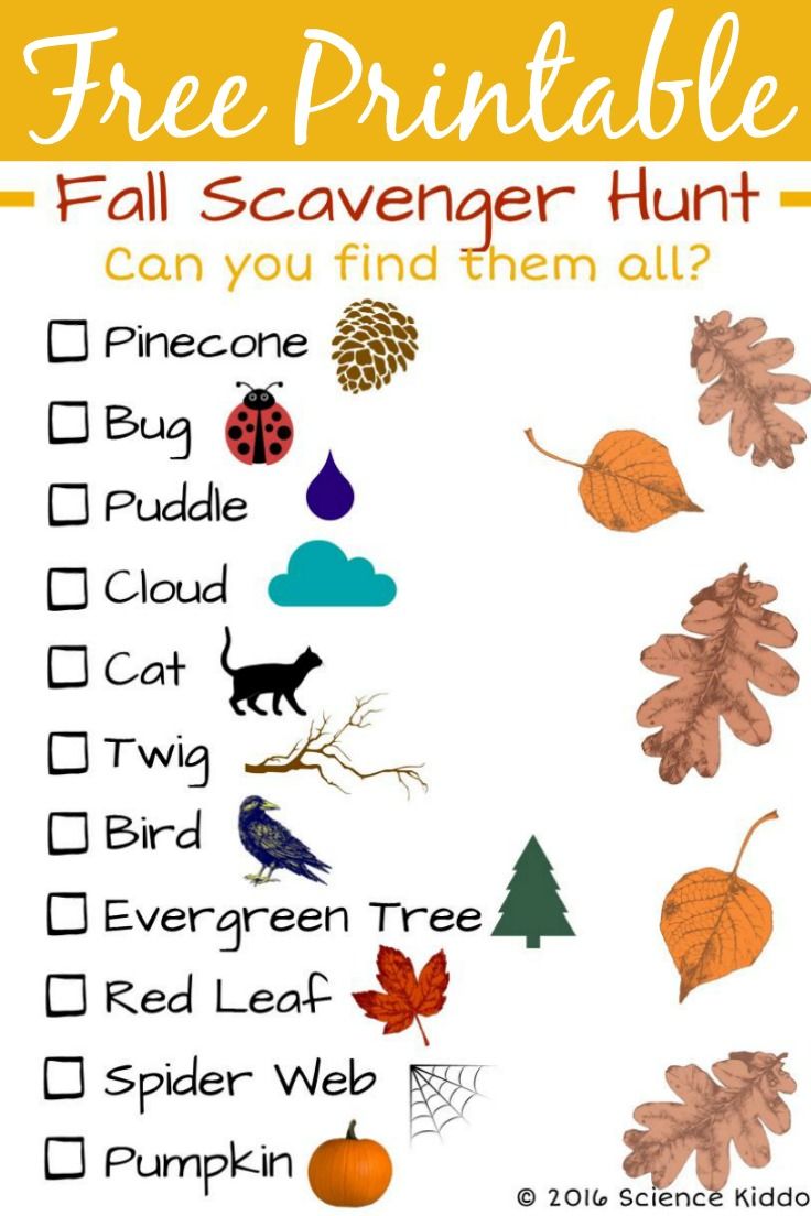 80 Free Nature Scavenger Hunt Printable 64