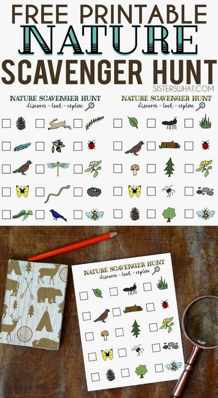 80 Free Nature Scavenger Hunt Printable 66