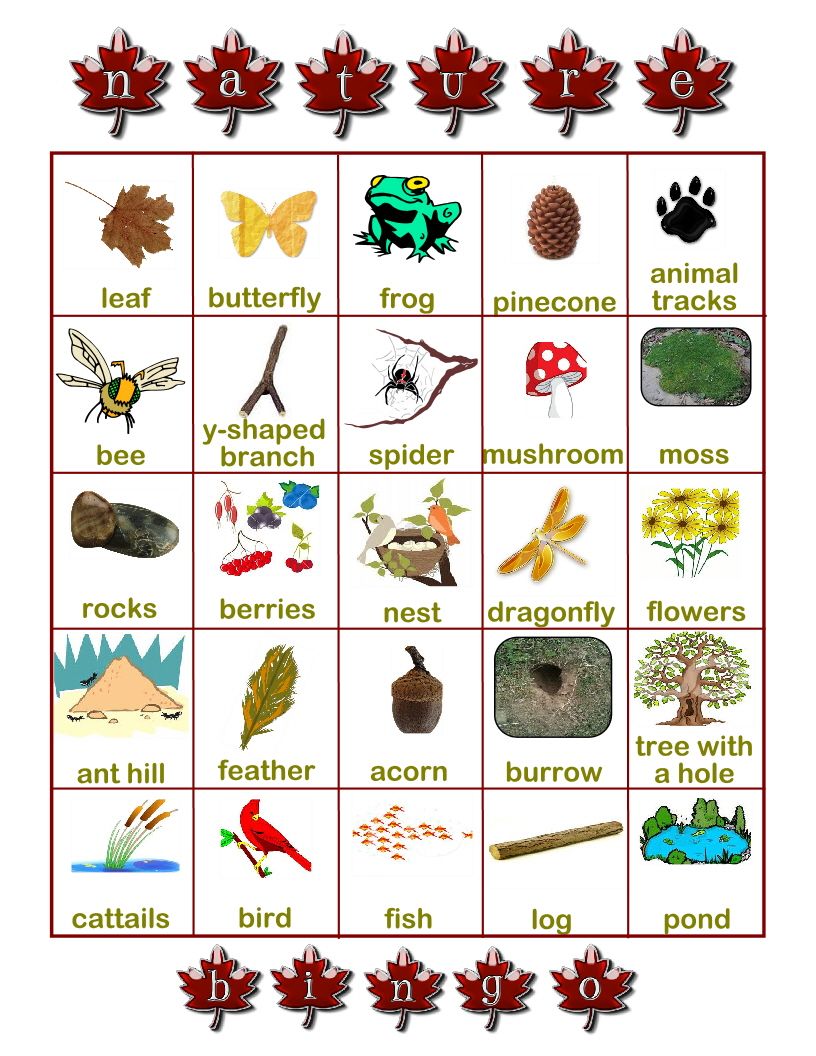 80 Free Nature Scavenger Hunt Printable 68