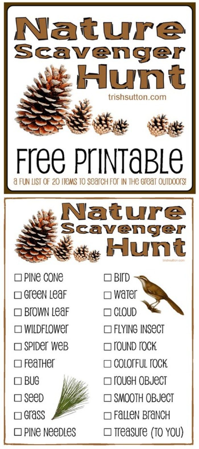 80 Free Nature Scavenger Hunt Printable 69