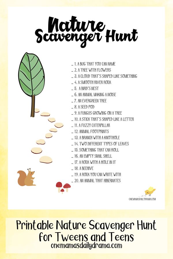 80 Free Nature Scavenger Hunt Printable 73