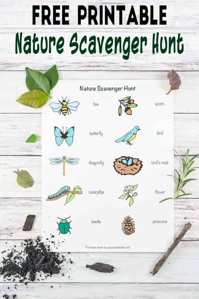 80 Free Nature Scavenger Hunt Printable 74