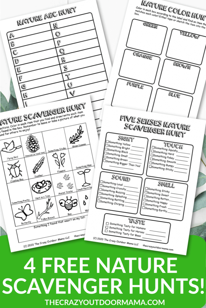 80 Free Nature Scavenger Hunt Printable 91