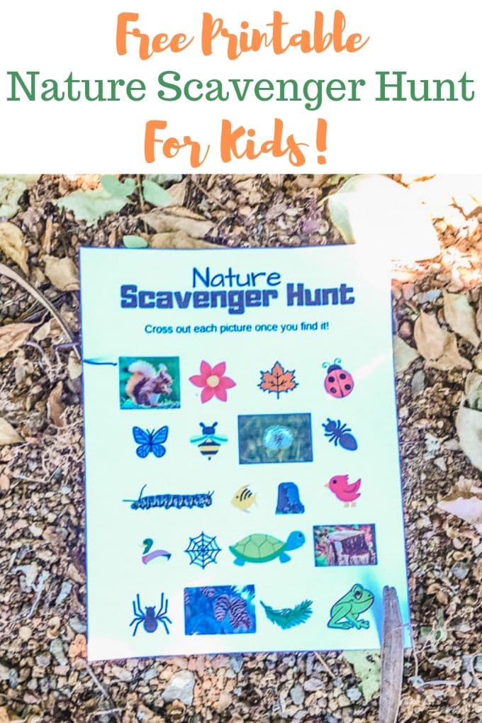 80 Free Nature Scavenger Hunt Printable 93