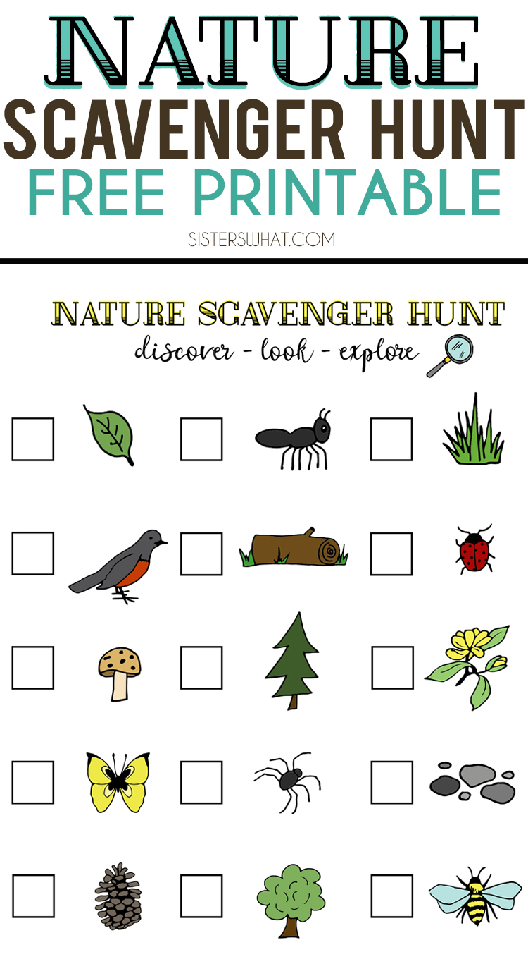 80 Free Nature Scavenger Hunt Printable 97