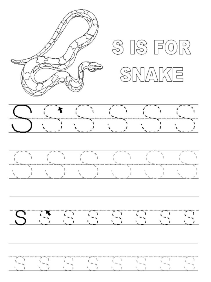 80 Letters S Printable Worksheets 36
