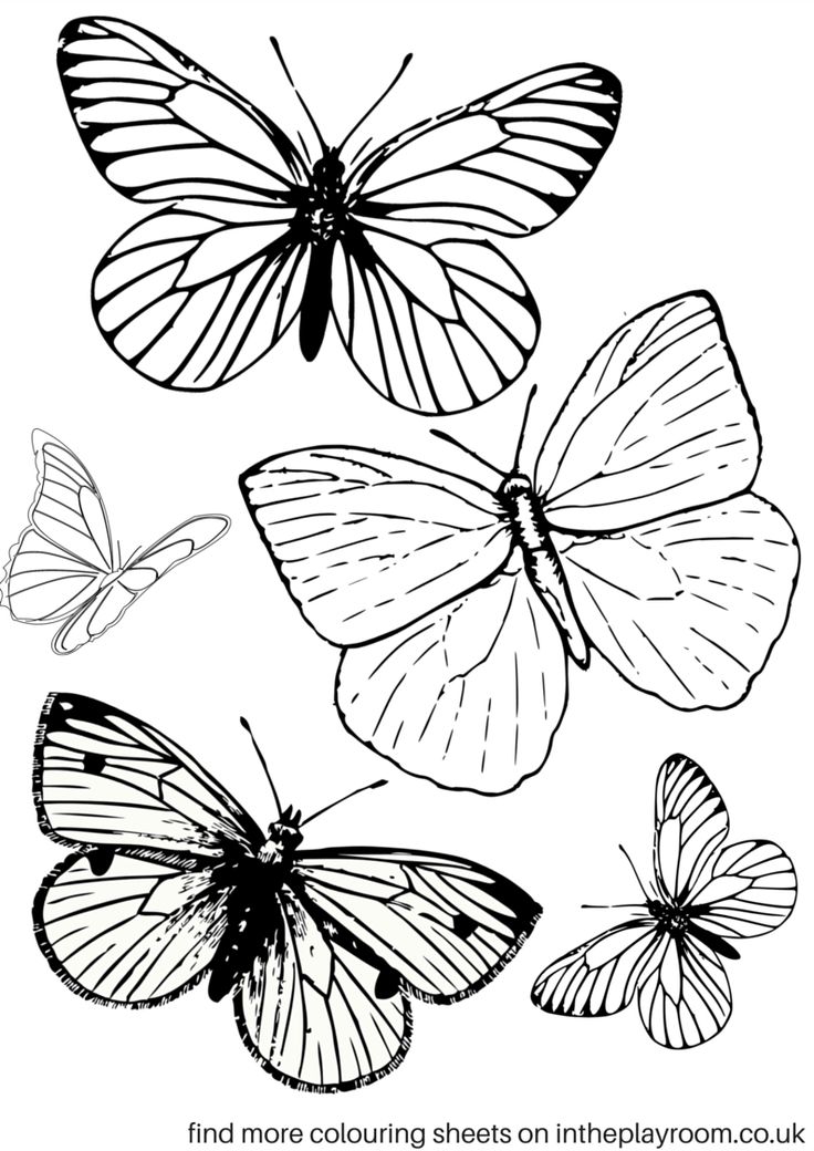 90 Coloring Sheets Free Printables 14