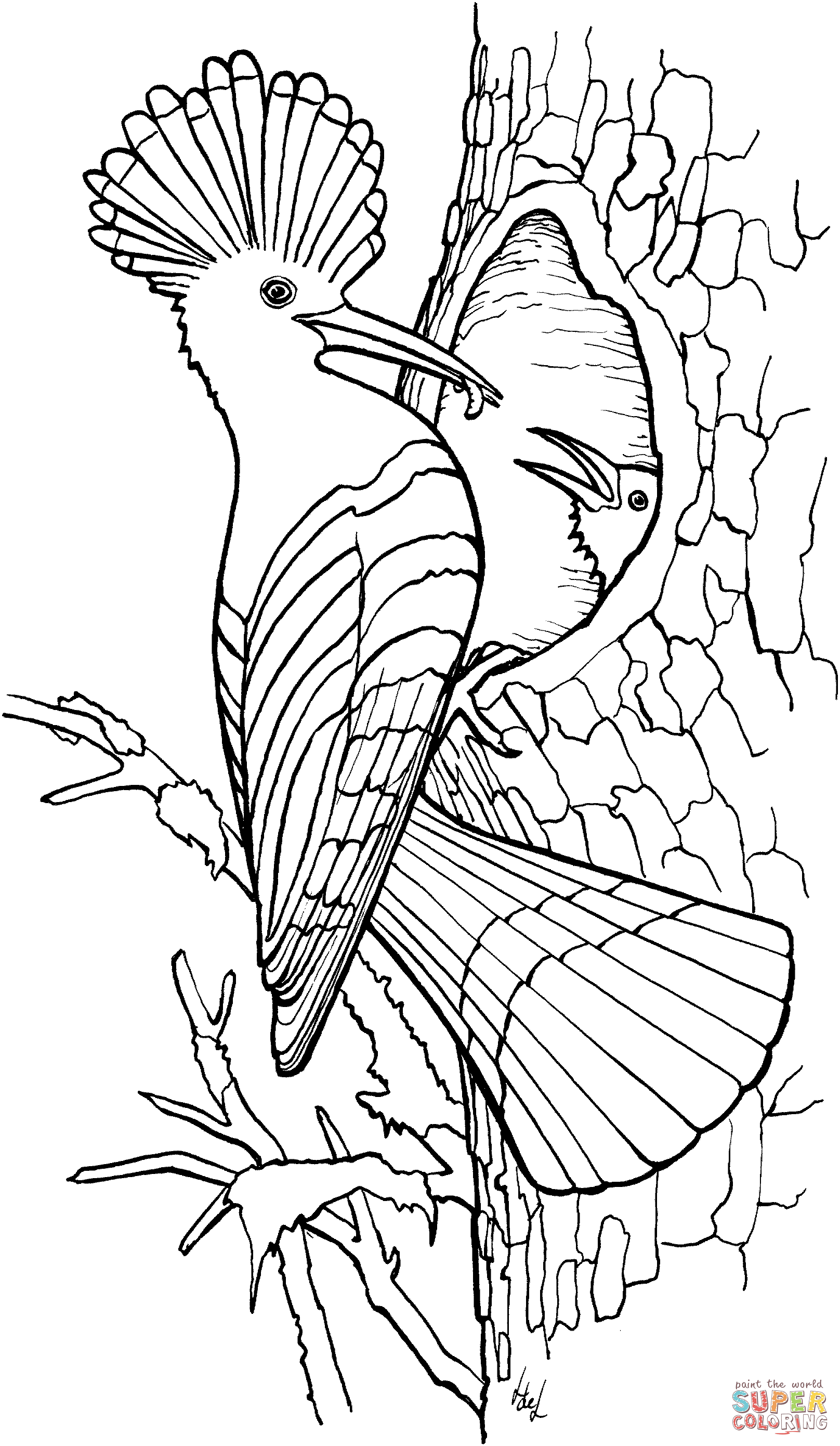 90 Coloring Sheets Free Printables 18