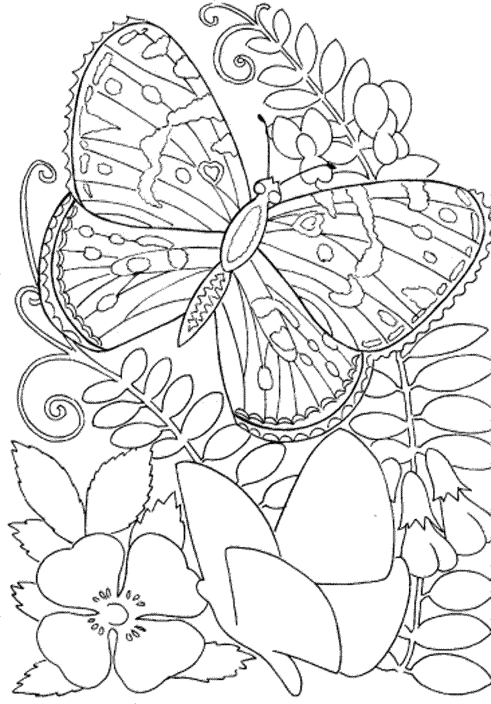 90 Coloring Sheets Free Printables 6