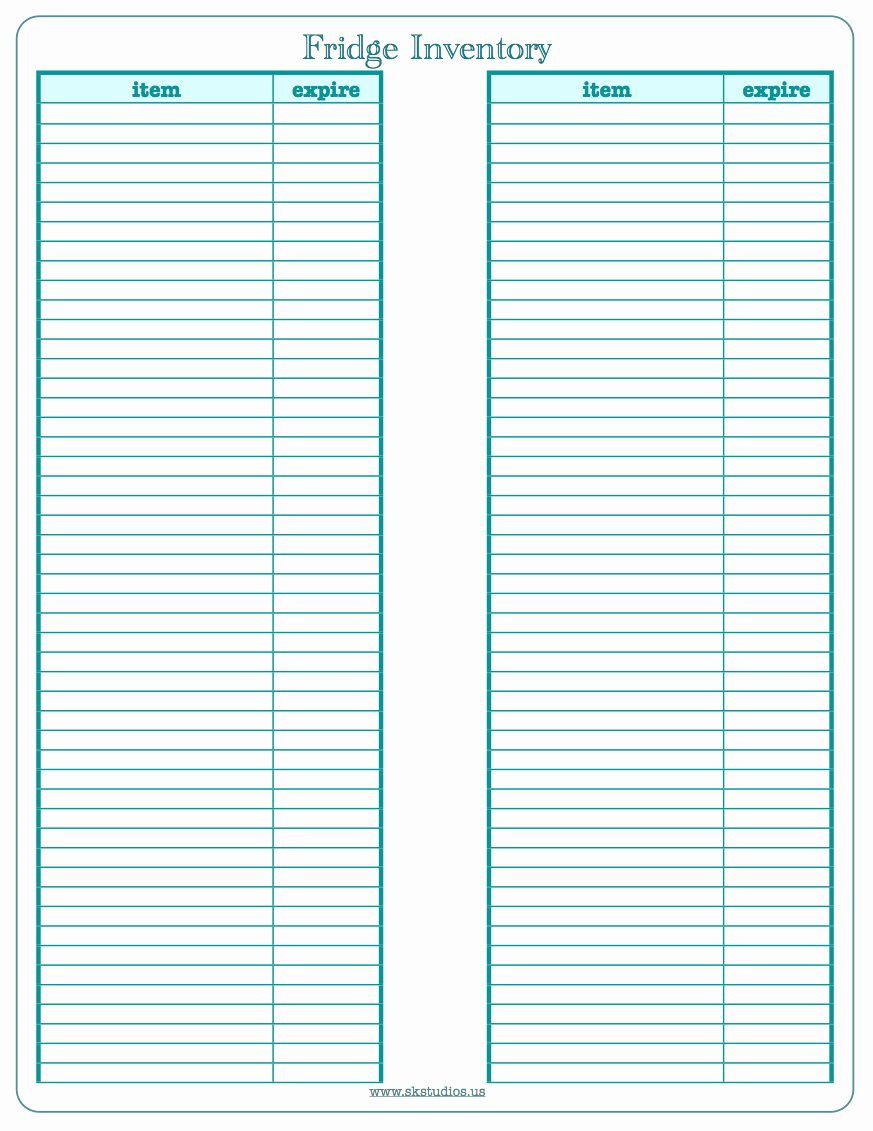 90 Free Printable Coin Inventory Sheets 19
