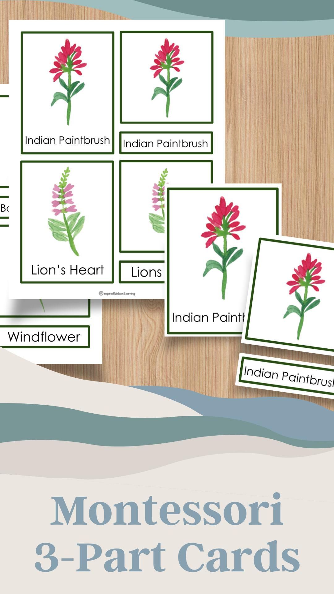 90 Printable Montessori Lesson Plan Template 10