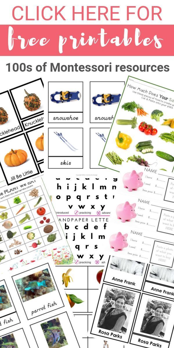 90 Printable Montessori Lesson Plan Template 100