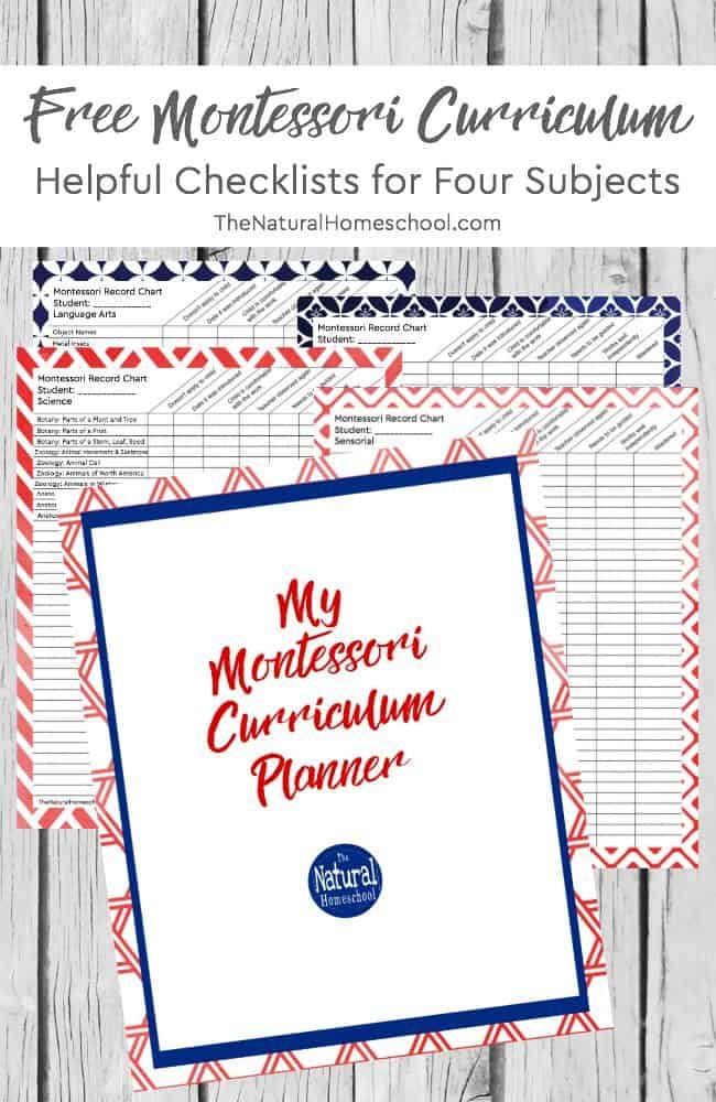 90 Printable Montessori Lesson Plan Template 18