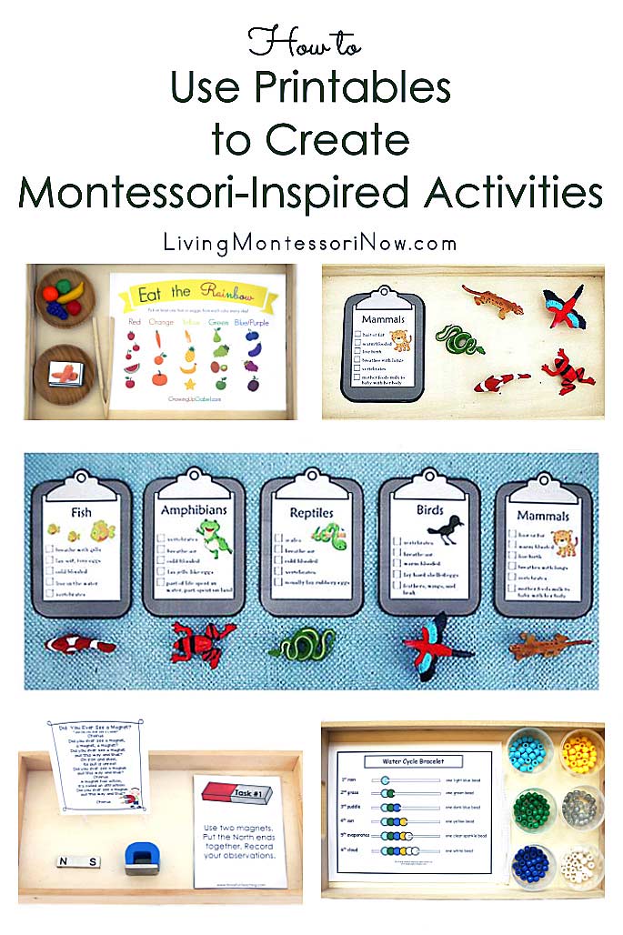 90 Printable Montessori Lesson Plan Template 20