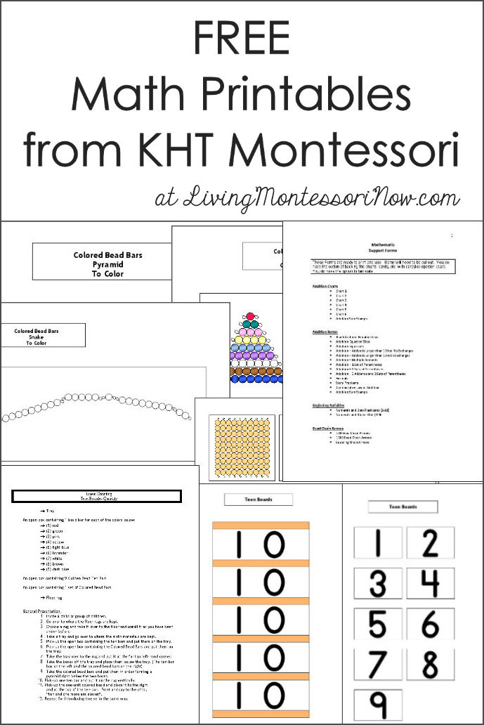 90 Printable Montessori Lesson Plan Template 27