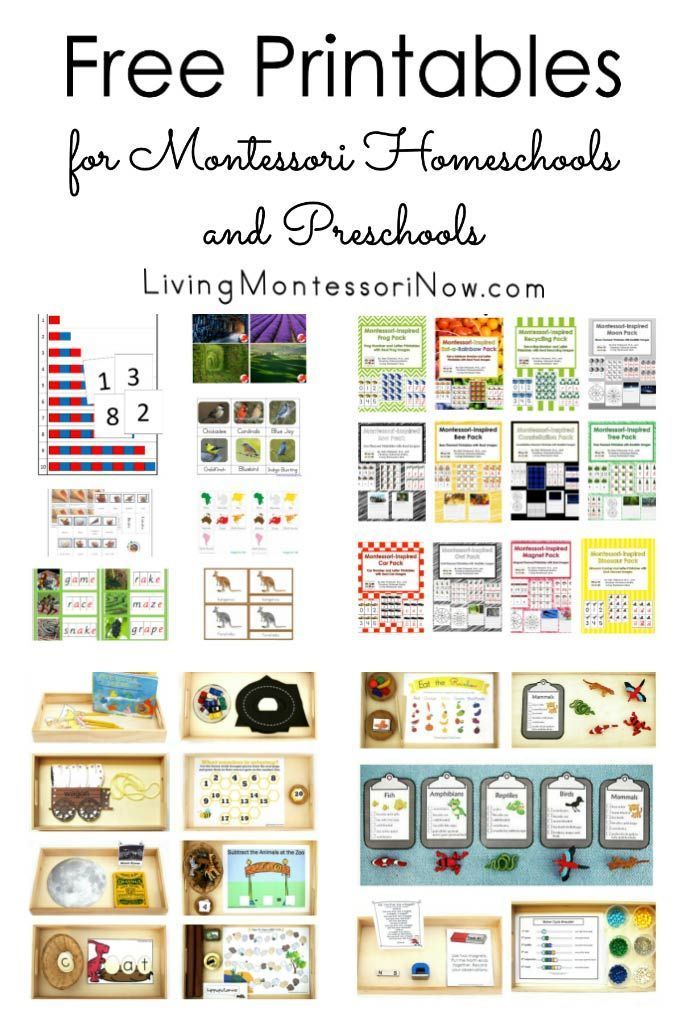 90 Printable Montessori Lesson Plan Template 34