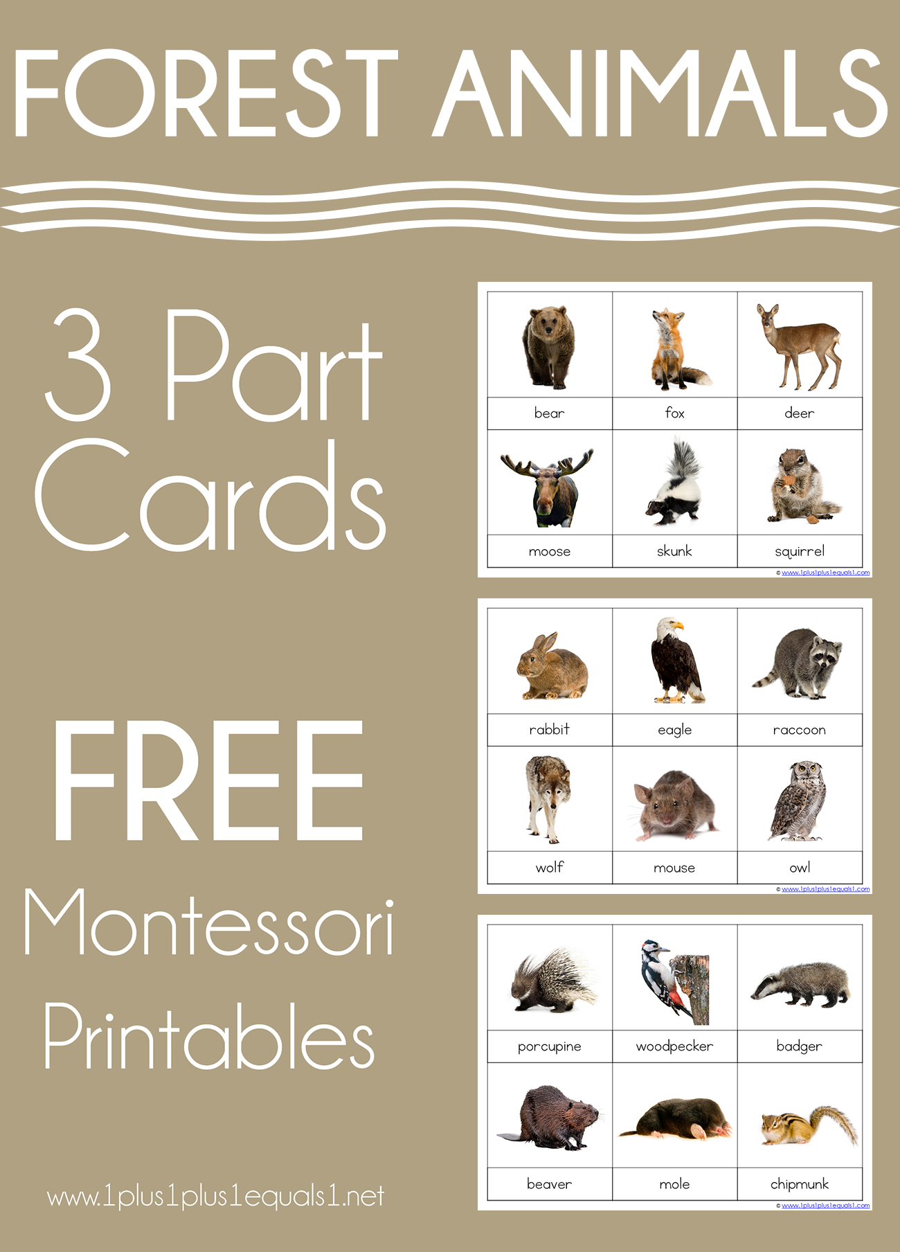 90 Printable Montessori Lesson Plan Template 41
