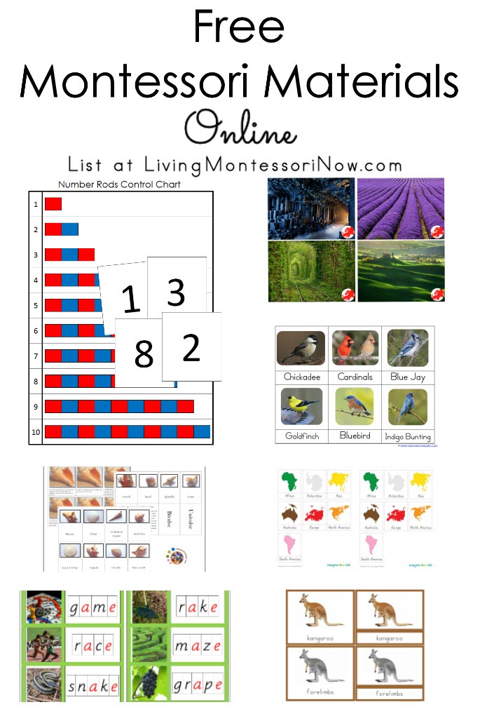 90 Printable Montessori Lesson Plan Template 49