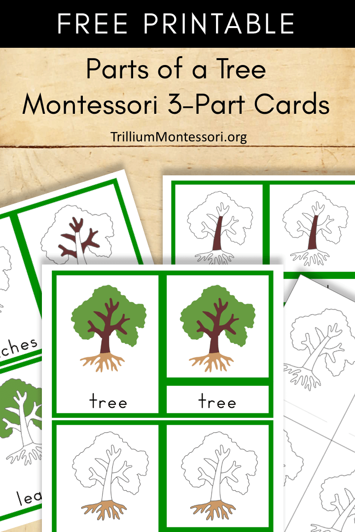 90 Printable Montessori Lesson Plan Template 57