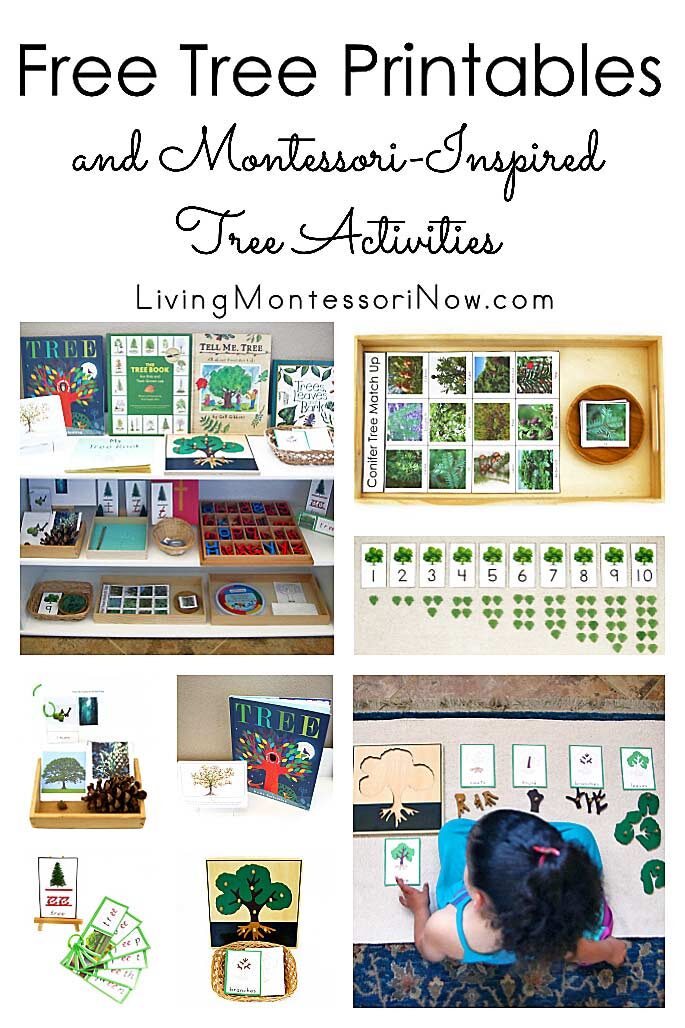 90 Printable Montessori Lesson Plan Template 9