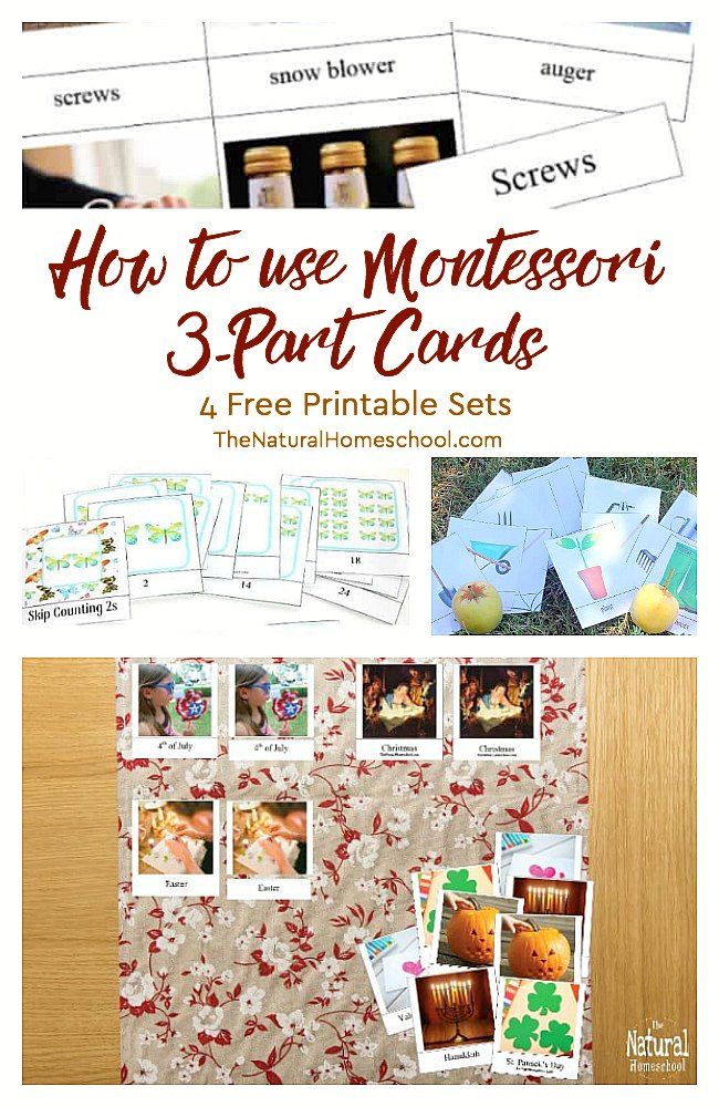 90 Printable Montessori Lesson Plan Template 91