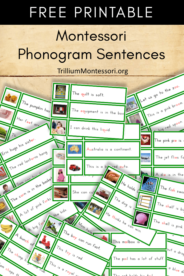 90 Printable Montessori Lesson Plan Template 98