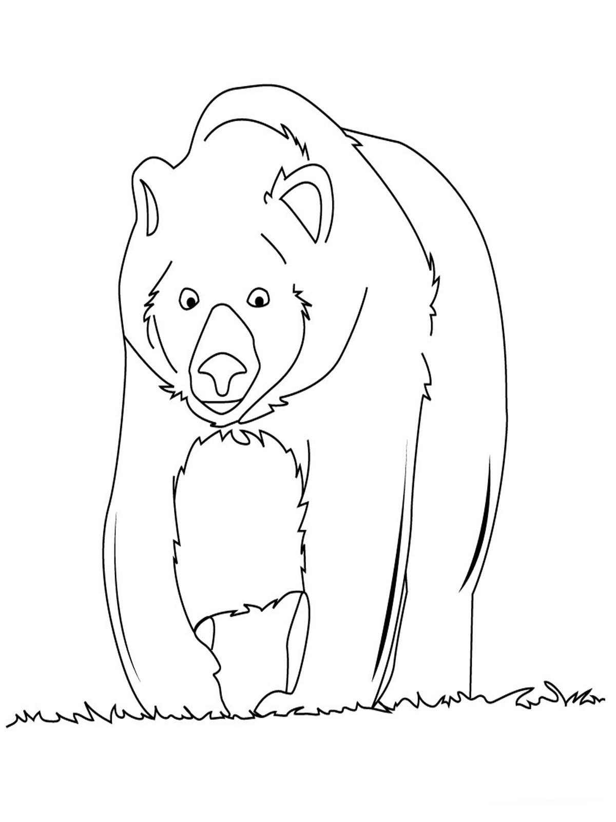 Save 60 Bear Printable Coloring Pages Ideas 20