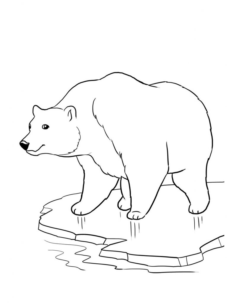 Save 60 Bear Printable Coloring Pages Ideas 3