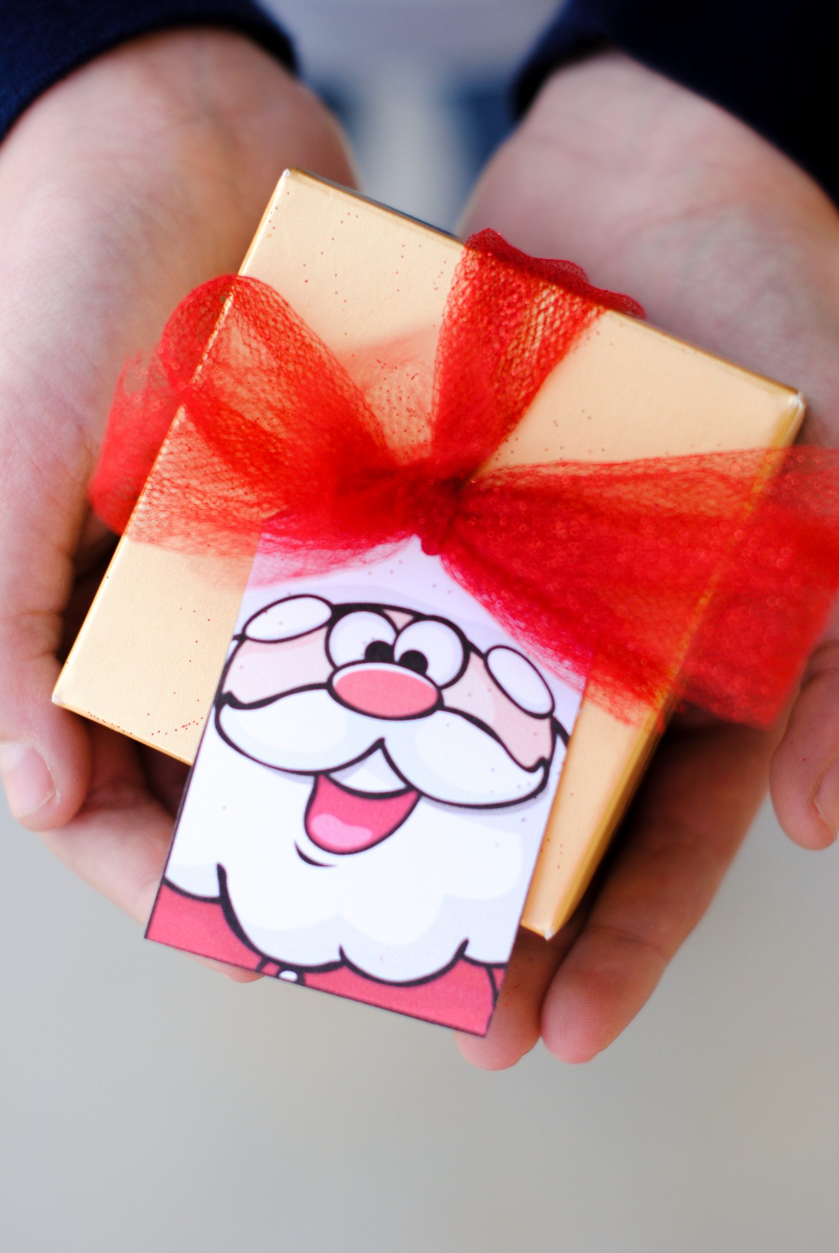 Save 60 Free Printable Christmas Gift Tags Ideas 30