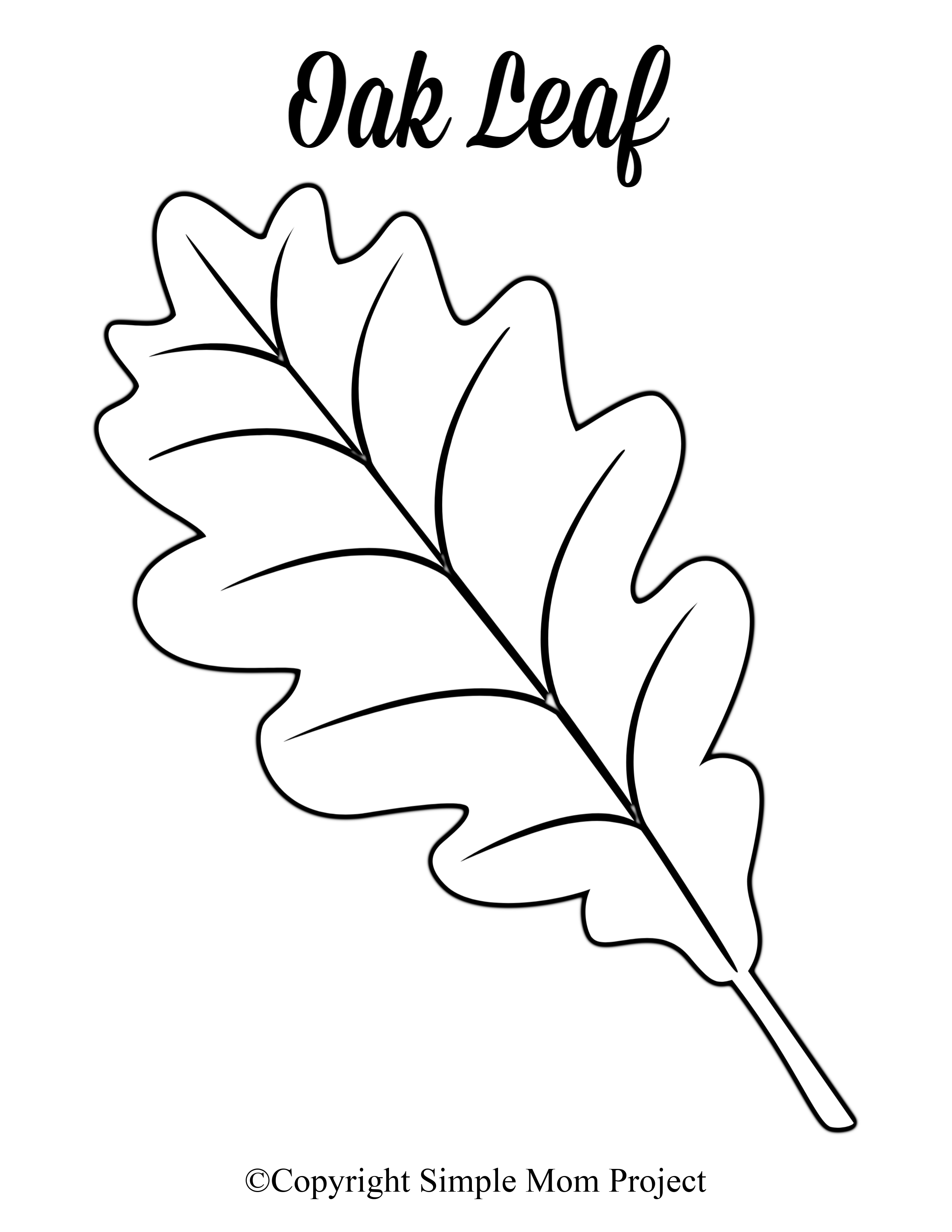 60 Fall Templates Free Printable 23