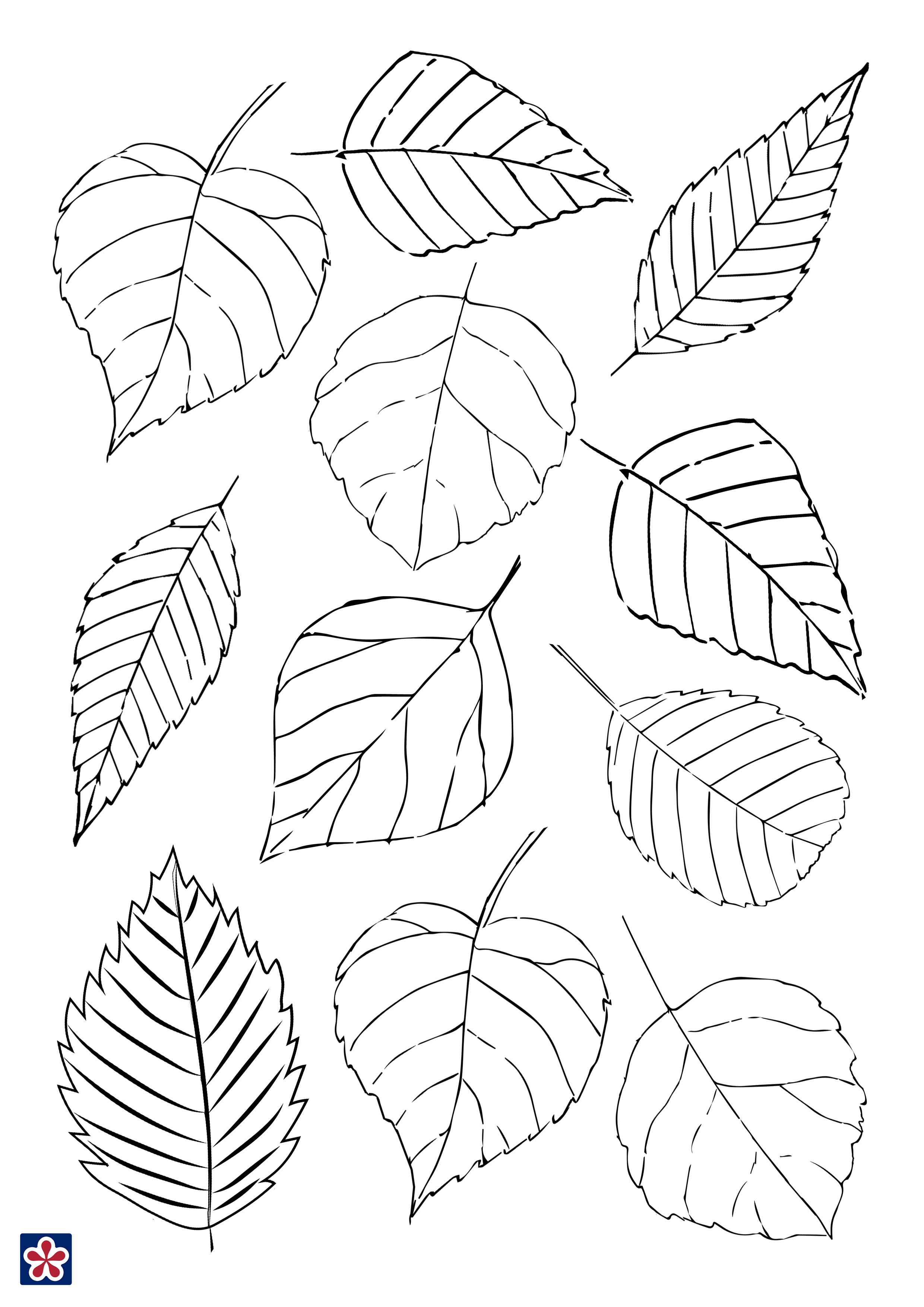 60 Fall Templates Free Printable 31