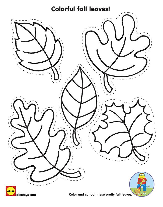 60 Fall Templates Free Printable 40