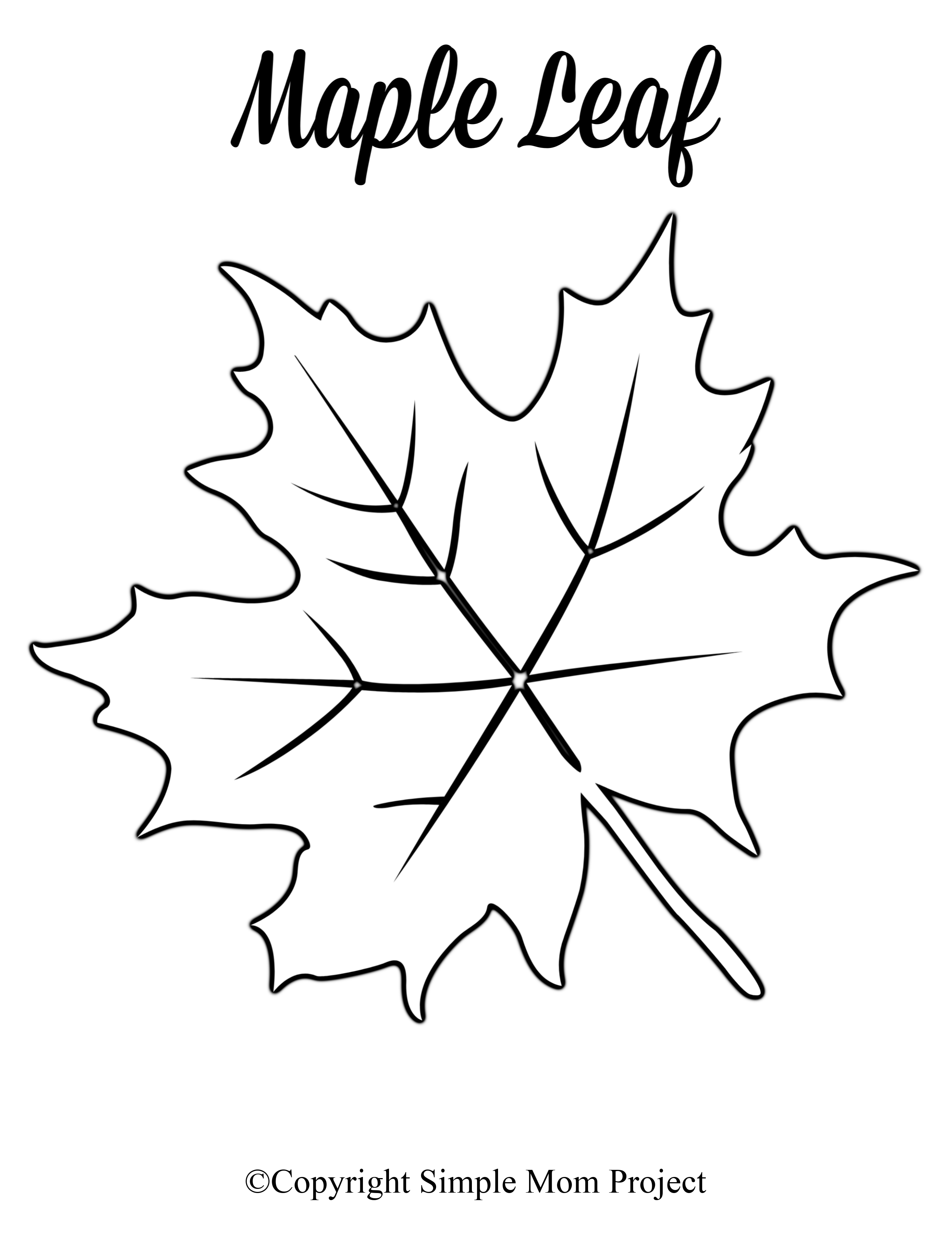 60 Fall Templates Free Printable 43