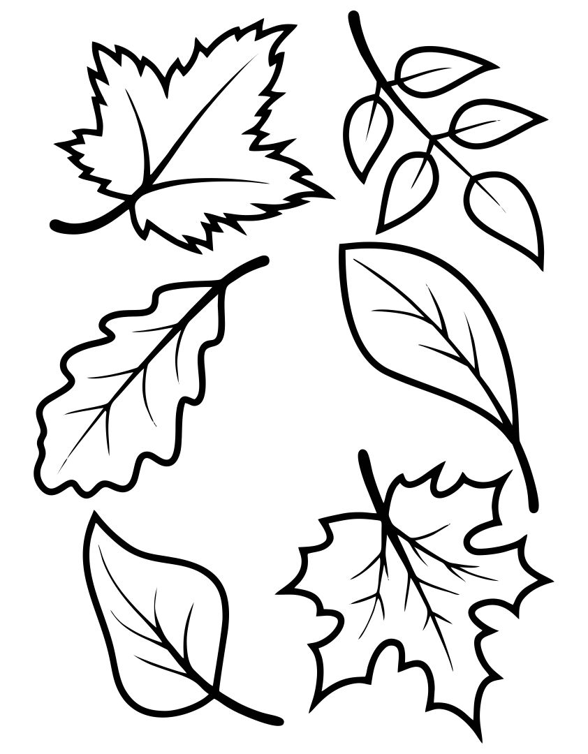 60 Fall Templates Free Printable 61
