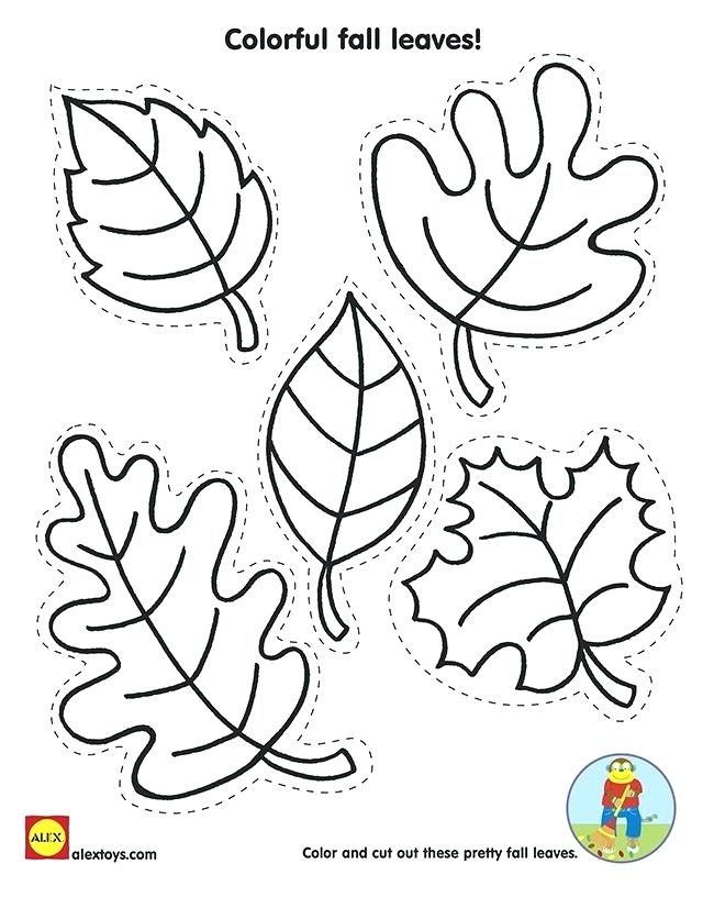60 Fall Templates Free Printable 7