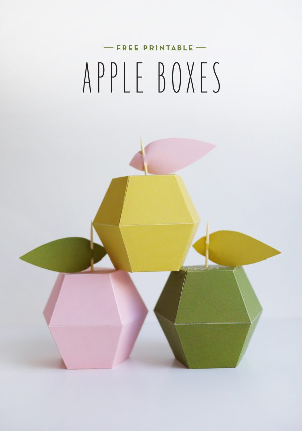 60 Paper Box Template Printable 55