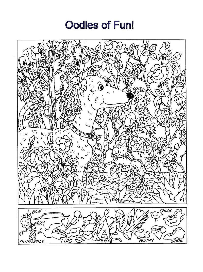 60 Printable Hidden Object Pictures 58