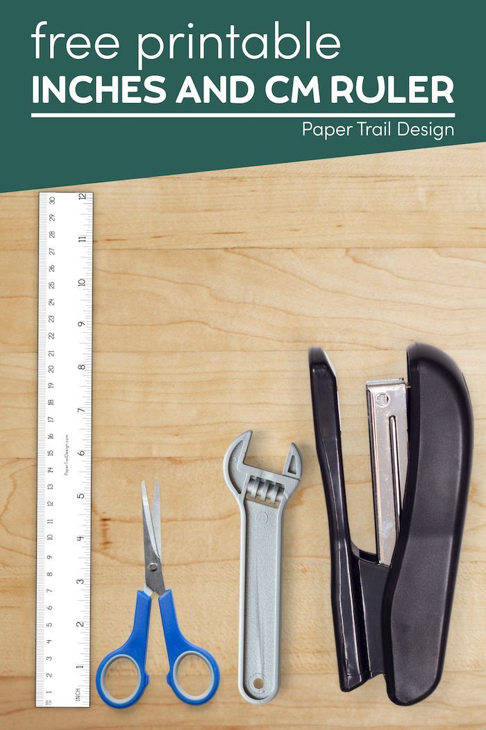 Save 60 6 Inch Printable Ruler Ideas 55